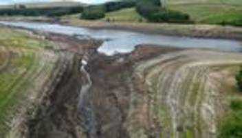 Dürre: Britische Umweltbehörde warnt vor Wasserknappheit in England
