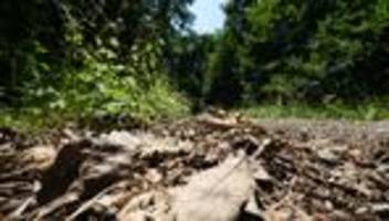 natur: feuerwehren und waldbesitzer: hohe waldbrandgefahr in hessen