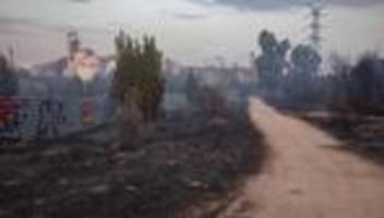 Waldbrand: Ein Toter nach Waldbrand nahe Madrid