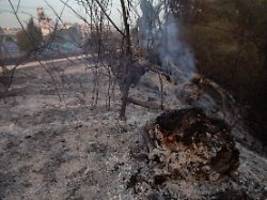 Evakuierungen in Region Madrid: Spanier erleidet bei Waldbränden tödliche Verbrennungen