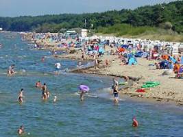 Temperaturen bis an die 40 Grad: Hundstage bescheren Deutschland astreines Sommerwetter