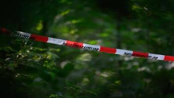 seit vier jahren vermisst: frau (22) tot in wald aufgefunden