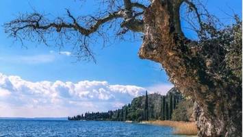 Traumstrand am Gardasee droht zu verschwinden – Streit um Schiffe