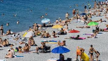 Tropische Zone? Biologin erklärt, was dem Mittelmeer droht