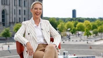 afd überholt union in neuer umfrage – kanzler merz unter druck