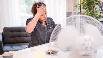 Hitzestress im Büro? Das sind Ihre Rechte bei hohen Temperaturen