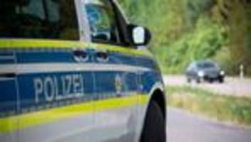 tierischer unfall: autofahrerin erfasst entlaufenes pferd auf straße