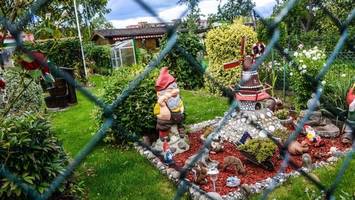 „natur pur“ im fokus: berlins kleingärten im wettbewerb