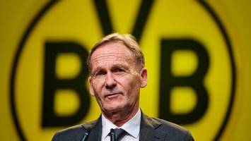 Kandidatur für BVB-Präsidentschaft: Watzke-Entscheidung da