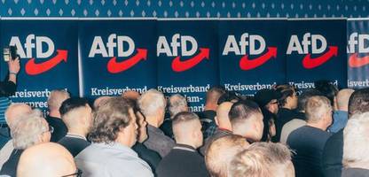 AfD in Brandenburg: Deshalb wurde der Landesverband als gesichert rechtsextrem eingestuft