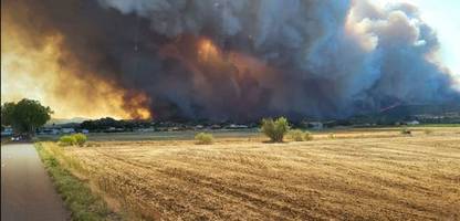 Extremwetter in Europa: Deutschland leidet unter Hitzewelle, in Südeuropa wüten Waldbrände