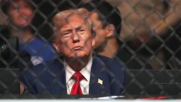 Brutalo-Sport im Weißen Haus? Trump will Käfigkampf ausrichten