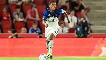Wie schnell kann Omari dem HSV helfen? „Das Rundumpaket passt“