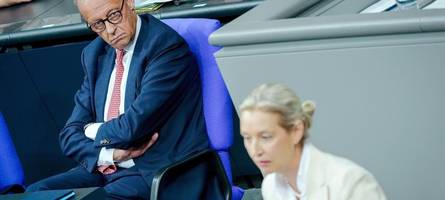 afd überholt union in umfrage: so spielt merz den rechtspopulisten in die karten