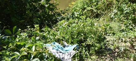Was war die Ursache für den Tod eines 18-Jährigen in der Donau?