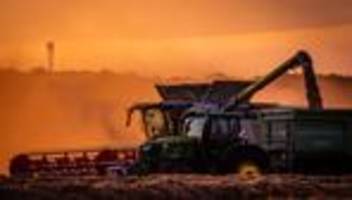 landwirtschaft: zuwachs bei getreideernte in niedersachsen erwartet