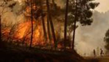 Waldbrände in Südeuropa: Vier Verdächtige wegen mutmaßlicher Brandstiftung festgenommen