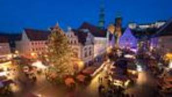 Weihnachten: Bäume für Weihnachtsmärkte in Dresden und Pirna gesucht