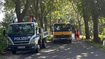 Sieben Wochen nach dem Sturm: So sieht es in Reinickendorf aus
