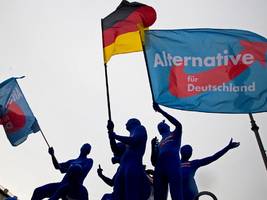 AfD Brandenburg: Extrem rechts, extrem loyal
