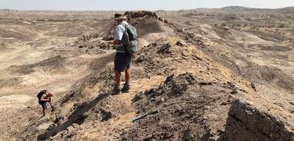 Evolution: Fossilien weisen auf unbekannten Vorfahren des Menschen hin