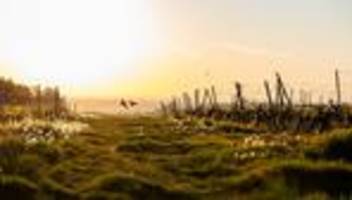 rheinland-pfalz und saarland: gewitter mit starkregen - sinkende temperaturen
