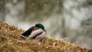 wetter zum ende der woche: gewitter in teilen von hessen - die temperaturen sinken