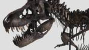 paläontologie: tyrannosaurus rex hatte den kräftigsten biss aller dinosaurier