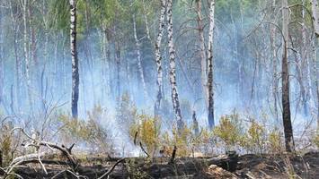 Waldbrandgefahr in Brandenburg erreicht höchste Stufe