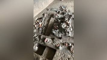 Archäologen finden 4000 Jahre alten Beweis für Betelnuss-Konsum