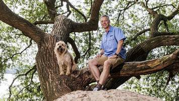 „Top Dog Germany“ 2025: Pablo aus Hamburg kämpft um Titel