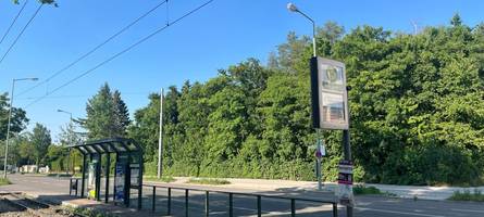 Wandern mit der Straßenbahn: Das sind die besten Routen in Augsburg