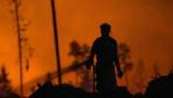 kreis saalfeld-rudolstadt: ermittlungen zu waldbrand auf saalfelder höhe dauern an
