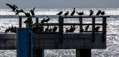 Wetter in Deutschland: Die Hitze geht, der Sommer bleibt