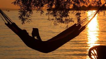 Summer School ☀️: Diese drei Bücher sollten Sie in diesem Sommer lesen
