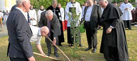 Challenge akzeptiert: Maria Vesperbild pflanzt einen Baum