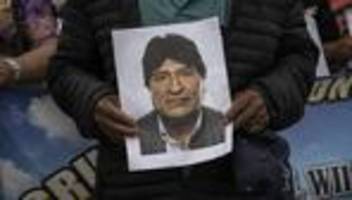 Bolivien: Der Dschungelkönig
