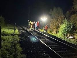 Rotes Warnsignal ignoriert: Zug kracht in Auto - 23-Jährige sterben