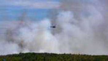Waldbrände: Schutz vor Waldbränden: Experten vertiefen Zusammenarbeit
