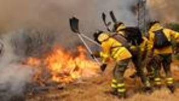klimawandel: feuerwehrmann stirbt bei waldbrand in spanien