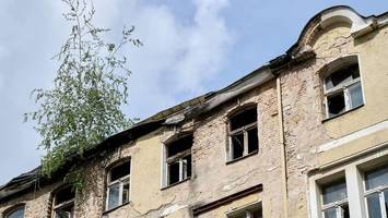 das „baum-haus“: tiere verhindern abriss der berühmten ruine in wedding