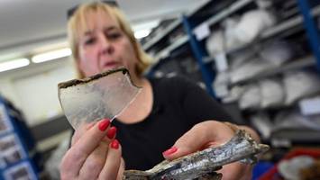 Forscher graben nach Römer-Resten – stoßen auf britischen Bomber