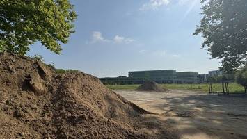 dschungel statt 500 neubauwohnungen: so ist die lage in steilshoop