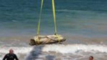 alexandria: 2.000 jahre alte artefakte aus dem mittelmeer geborgen