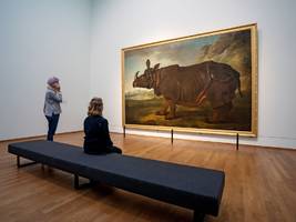 dem geheimnis auf der spur: das nashorn, das von tellern aß