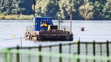 Blubbern im Müggelsee: Warum die Wasserbetriebe entspannt bleiben