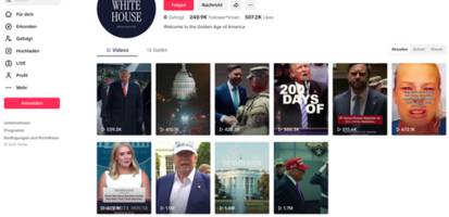 Trump-Regierung bei TikTok: Die zynische Meme-Strategie des Weißen Hauses