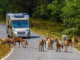 urlaub: welche wohnmobile besonders gefragt sind