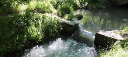 am lech, im wald, den hügel hoch: acht reizvolle laufstrecken in der region augsburg