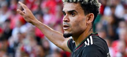 Luis Díaz – Vom Straßenfußball zum Hoffnungsträger des FC Bayern